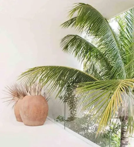 16tulum Tulum
